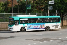 월곶 잡사 - 버스 갤러리