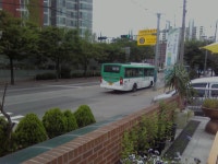 6월 말에 찍었던 오산바닥의 잡사들 - 버스 갤러리