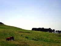 딥디 in 제주도.. - G-Dragon 갤러리