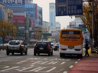 짤를리야 마지막 기회를 줄게ㅅ) - 버스 갤러리