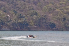 비오는 날은 공치는 날??? - 식물 갤러리