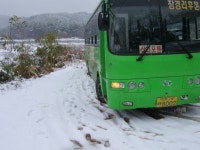 [인천] 영흥도 790 간만에 시승! 및 잡사. - 버스 갤러리