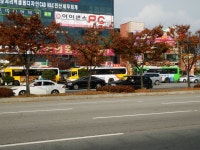 저번 일요일에 찍었던 말굽광장 잡사ㅁ - 버스 갤러리