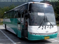 동설-울진은 불영계곡 롤코가 진리아님? - 버스 갤러리