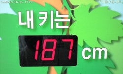 동설-울진은 불영계곡 롤코가 진리아님? - 버스 갤러리