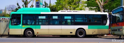 [대구] 으잌 이건 몇번일까여 - 버스 갤러리