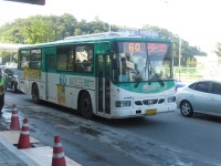 송정역잡사 - 버스 갤러리