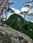 도락산(2009.06.06) 산행 - 등산 갤러리