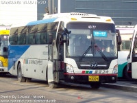 린천터미널에서.... - 버스 갤러리