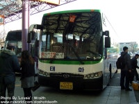 린천터미널에서.... - 버스 갤러리