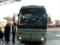 린천터미널에서.... - 버스 갤러리