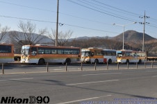 대구&경주 시내버스편... - 버스 갤러리