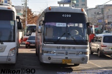 2011.01.17 대구.... - 버스 갤러리