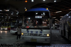 성남종합버스터미널에서... - 버스 갤러리