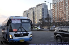 1000번 - 버스 갤러리