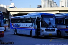 고텀잡사 - 버스 갤러리