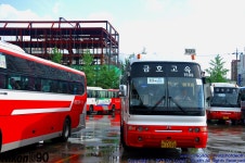 금호고속 (광주~광양,동광양) AERO QUEEN HI-CLASS - 버스 갤러리
