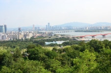 하늘공원에서 - 식물 갤러리