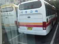 경상도 시외업체들 잡사.. - 버스 갤러리