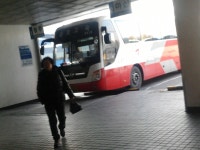 대구고속버스터미널 잡사~ - 버스 갤러리