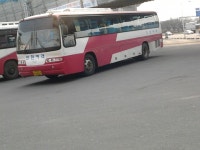 안전여객 차종모음.jyp - 버스 갤러리