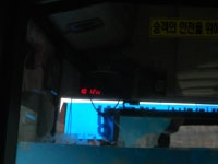 송림시장 잡사 - 버스 갤러리