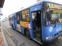 송림시장 잡사 - 버스 갤러리