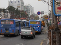 송림시장 잡사 - 버스 갤러리