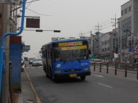 송림시장 잡사 - 버스 갤러리