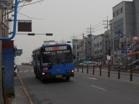 송림시장 잡사 - 버스 갤러리