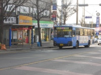 집앞 잡사.. - 버스 갤러리