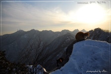 20080126sat. 계룡산 관음봉, 산꼭대기 사는 고양이 본 사람? - 등산 갤러리