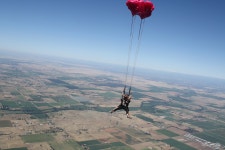 하늘을 난게 자랑.jpg - HIT 갤러리