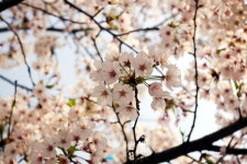 소매물도에서 진해로 - 여행-국내 갤러리