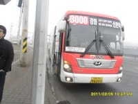 1. 김포 잡사(김포시내, 하성, 양곡) - 버스 갤러리