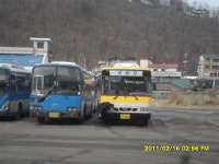 홍천터미널 잡사 - 버스 갤러리