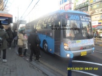 823번님과 같이 M5609번, 8407번 시승 - 버스 갤러리