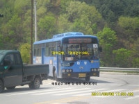 [2011. 5. 8] 용문, 양동 잡사 - 버스 갤러리