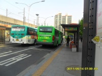 [2011. 5. 14] 강변역, 진벌리 잡사 - 버스 갤러리