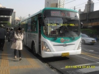 [2011. 5. 14] 강변역, 진벌리 잡사 - 버스 갤러리