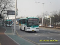 [신일여객17님이 보면...] 패닝샷 질문 - 버스 갤러리