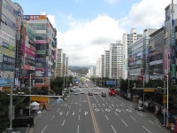 객관적으로 대구칠곡>>>>>부산번화가 아니냐? - 도갤러스 갤러리