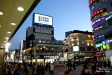 이쯤에서 올려주는 동성로 - 도시 갤러리