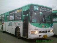 김포운수 6번과 60-3번 - 버스 갤러리