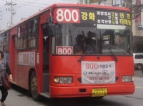 여러분이라면 인천터미널이나 강화를 갈때 어느버스를 타시겠읍니까? - 버스 갤러리