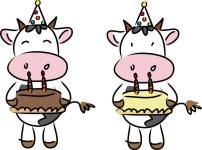 [이민호갤러리]****이민호갤러리 2주년 떡돌리러 왔습니다 **** - 박보영 갤러리