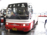 110126~110131 내일로 기간동안 탄 버스들 - 버스 갤러리