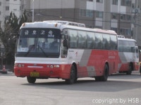 해남터미널 잡사. - 버스 갤러리