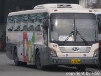 경일여객 in 진천 (not 250번) + 조공짤(???) - 버스 갤러리