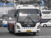 중부지역 시외버스류. (부제 : 영구와 땡칠이) - 버스 갤러리